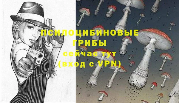 спиды Россошь