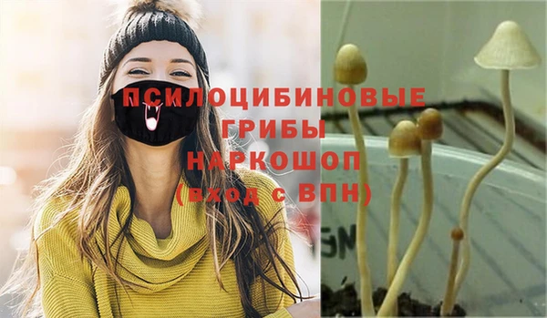 спиды Россошь