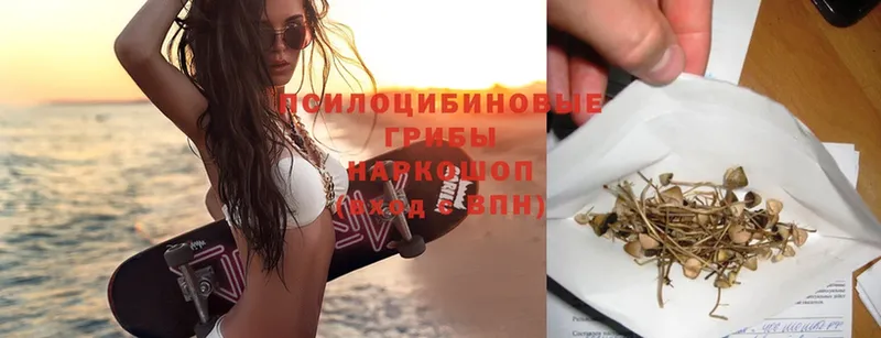 Псилоцибиновые грибы ЛСД  Аркадак 