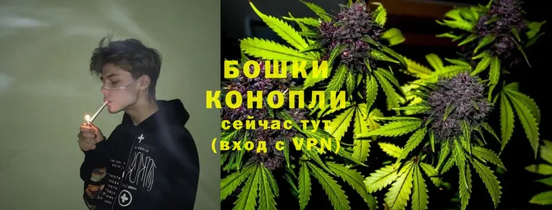цены наркотик  Аркадак  Бошки Шишки тримм 